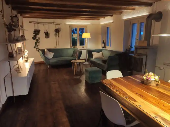 Einrichtungsberatung: Wohnzimmer mit abgestimmten Farben und Materialien und Möbeln – 3inDesign Schaffhausen